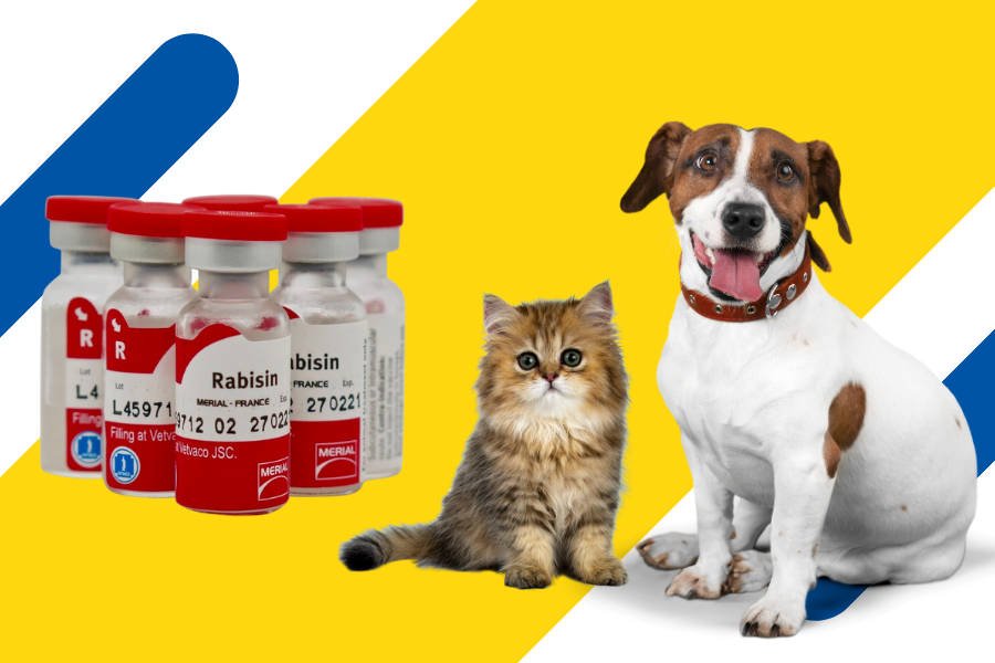 Tiêm ngừa phòng dại